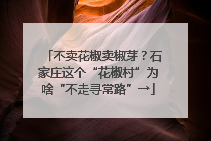 不卖花椒卖椒芽？石家庄这个“花椒村”为啥“不走寻常路”→