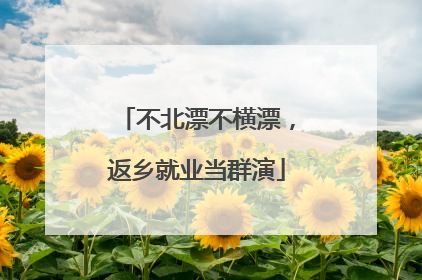 不北漂不横漂，返乡就业当群演