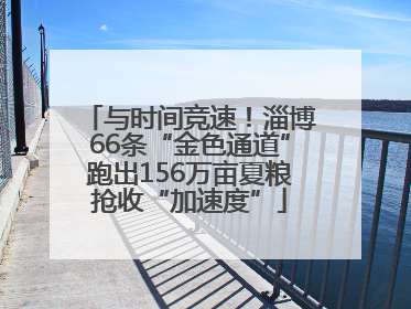 与时间竞速！淄博66条“金色通道”跑出156万亩夏粮抢收“加速度”