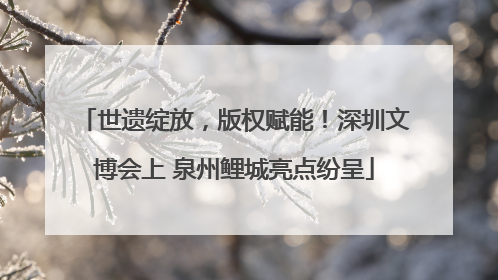 世遗绽放，版权赋能！深圳文博会上 泉州鲤城亮点纷呈