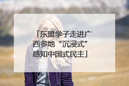 东盟学子走进广西多地“沉浸式”感知中国式民主