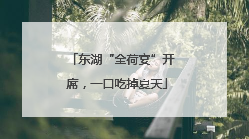 东湖“全荷宴”开席，一口吃掉夏天