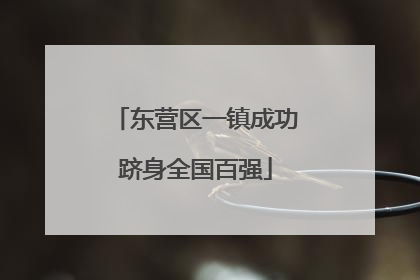 东营区一镇成功跻身全国百强