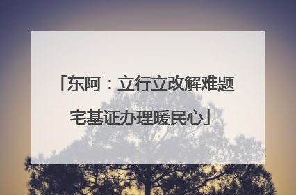 东阿：立行立改解难题 宅基证办理暖民心