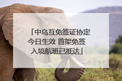 中乌互免签证协定今日生效 首架免签入境航班已抵达