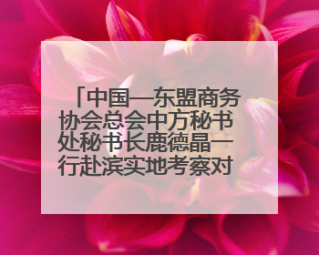 中国—东盟商务协会总会中方秘书处秘书长鹿德晶一行赴滨实地考察对接合作