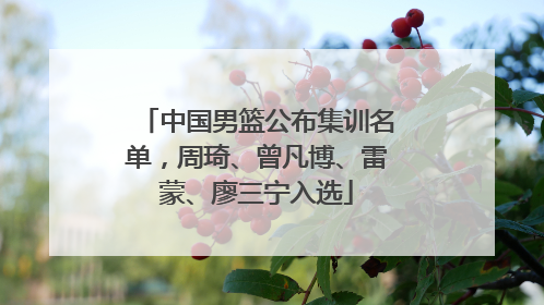 中国男篮公布集训名单，周琦、曾凡博、雷蒙、廖三宁入选