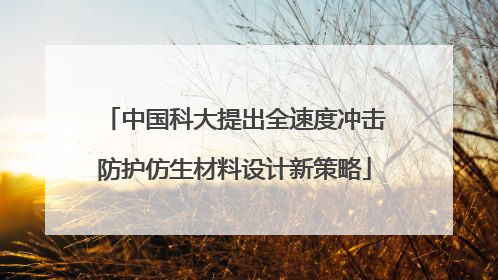 中国科大提出全速度冲击防护仿生材料设计新策略