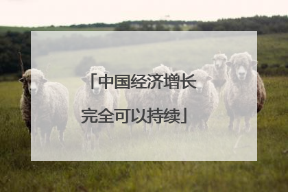 中国经济增长完全可以持续
