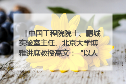 中国工程院院士、鹏城实验室主任、北京大学博雅讲席教授高文：“以人为本 智能向善” 推动文化与科技相生相促｜聚焦2025文化强国建设高峰论坛