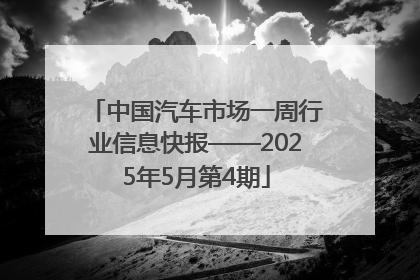 中国汽车市场一周行业信息快报——2025年5月第4期
