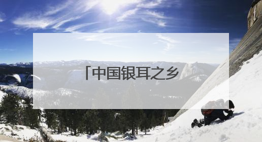 中国银耳之乡：一朵银耳“开”出无限可能