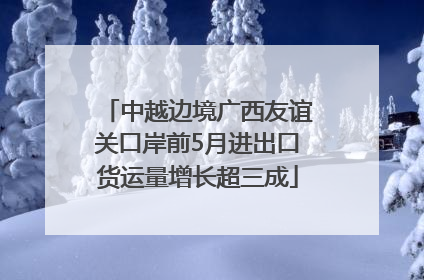 中越边境广西友谊关口岸前5月进出口货运量增长超三成