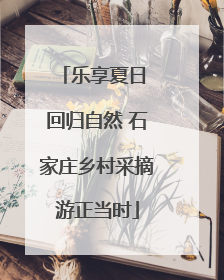 乐享夏日 回归自然 石家庄乡村采摘游正当时
