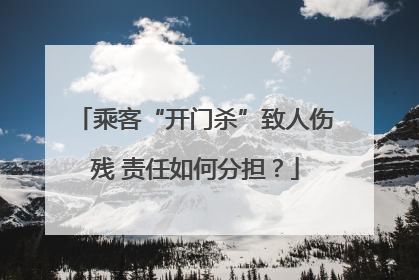 乘客“开门杀”致人伤残 责任如何分担？
