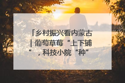 乡村振兴看内蒙古｜葡萄草莓“上下铺”，科技小院“种”出三倍效益