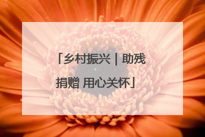 乡村振兴｜助残捐赠 用心关怀