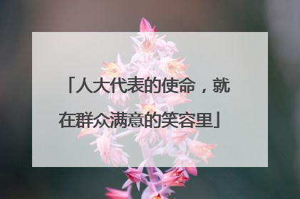 人大代表的使命，就在群众满意的笑容里