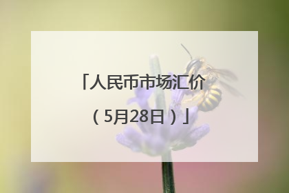 人民币市场汇价（5月28日）