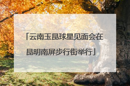 云南玉昆球星见面会在昆明南屏步行街举行