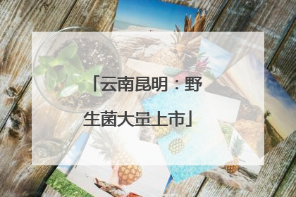 云南昆明：野生菌大量上市