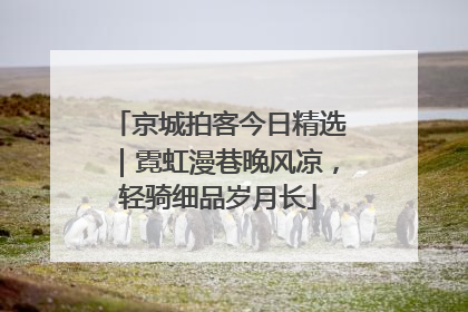 京城拍客今日精选｜霓虹漫巷晚风凉，轻骑细品岁月长