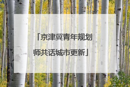 京津冀青年规划师共话城市更新
