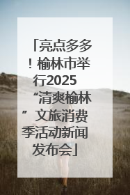 亮点多多！榆林市举行2025“清爽榆林”文旅消费季活动新闻发布会