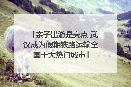 亲子出游是亮点 武汉成为假期铁路运输全国十大热门城市