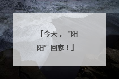 今天，“阳阳”回家！