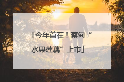 今年首茬！蔡甸“水果莲藕”上市