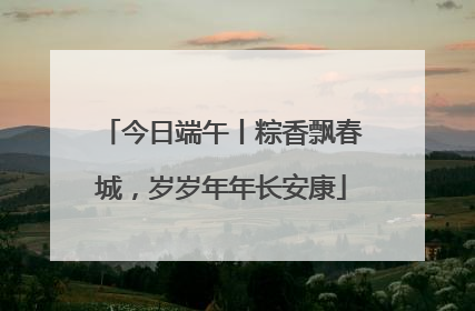 今日端午丨粽香飘春城，岁岁年年长安康