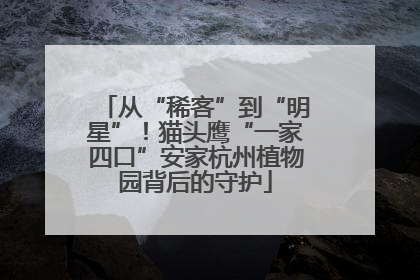 从“稀客”到“明星”！猫头鹰“一家四口”安家杭州植物园背后的守护