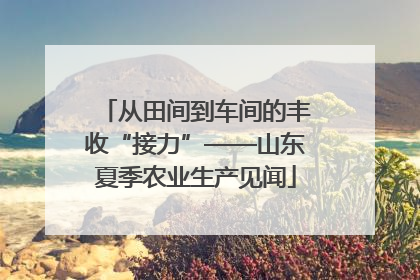 从田间到车间的丰收“接力”——山东夏季农业生产见闻