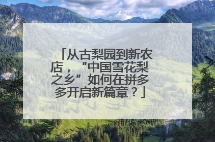 从古梨园到新农店，“中国雪花梨之乡”如何在拼多多开启新篇章？