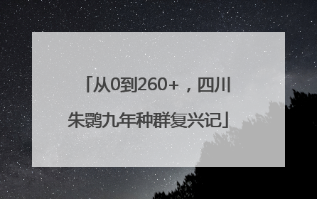从0到260+，四川朱鹮九年种群复兴记
