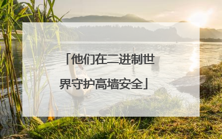他们在二进制世界守护高墙安全