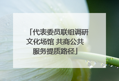 代表委员联组调研文化场馆 共商公共服务提质路径