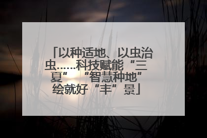 以种适地、以虫治虫……科技赋能“三夏” “智慧种地”绘就好“丰”景