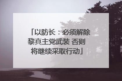 以防长：必须解除黎真主党武装 否则将继续采取行动