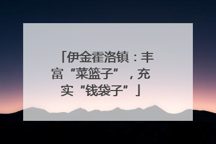 伊金霍洛镇：丰富“菜篮子”，充实“钱袋子”