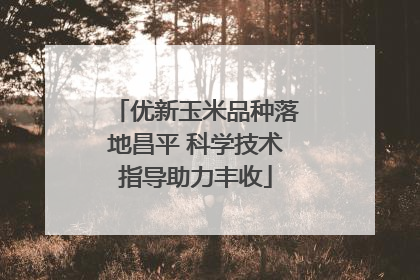 优新玉米品种落地昌平 科学技术指导助力丰收