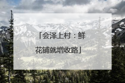 会泽上村：鲜花铺就增收路