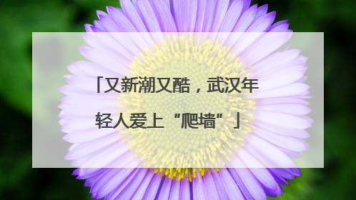 又新潮又酷，武汉年轻人爱上“爬墙”