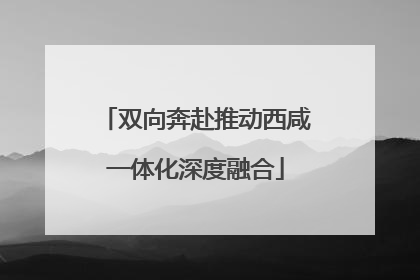 双向奔赴推动西咸一体化深度融合