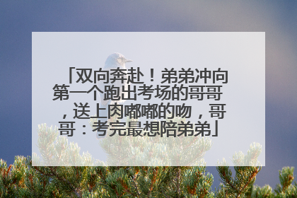 双向奔赴！弟弟冲向第一个跑出考场的哥哥，送上肉嘟嘟的吻，哥哥：考完最想陪弟弟