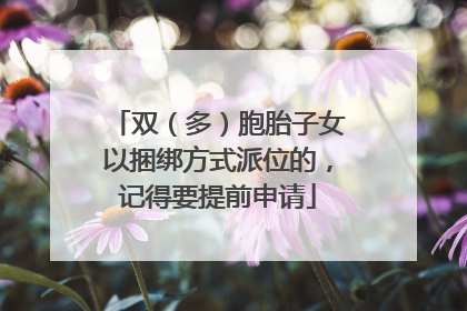 双（多）胞胎子女以捆绑方式派位的，记得要提前申请