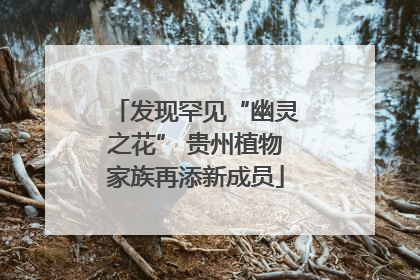 发现罕见“幽灵之花” 贵州植物家族再添新成员
