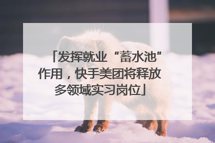 发挥就业“蓄水池”作用，快手美团将释放多领域实习岗位