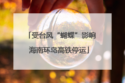 受台风“蝴蝶”影响 海南环岛高铁停运